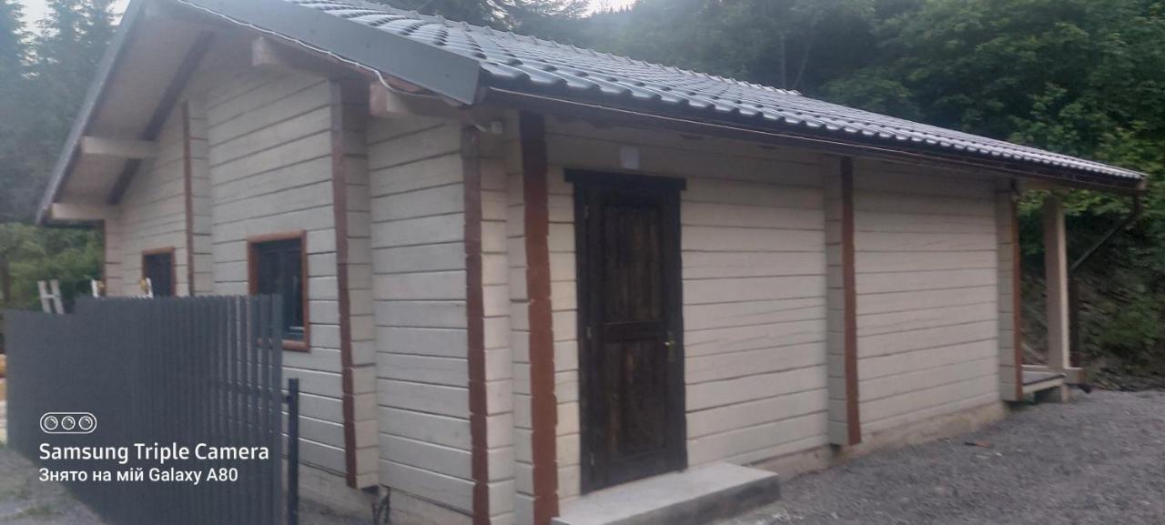 Hotel Berloga-Sinevir Synevyrsʼka Polyana Esterno foto