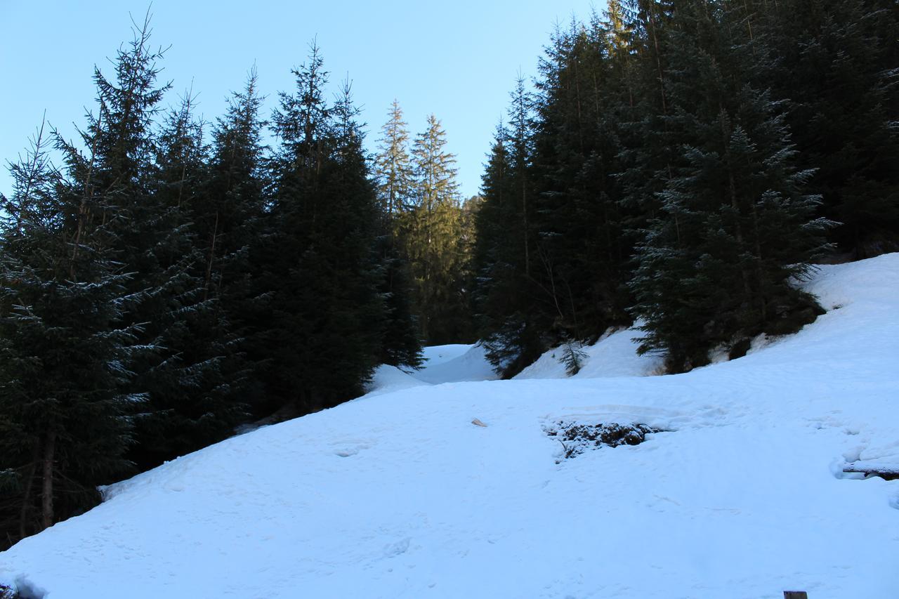 Hotel Berloga-Sinevir Synevyrsʼka Polyana Esterno foto